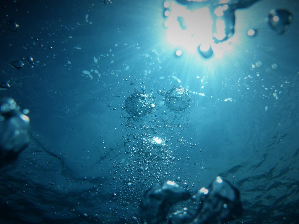 bubbles going upwards on a body of water